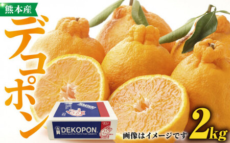 【先行予約】デコポン 約2kg【かきやま果実】 でこぽん 果物 フルーツ 柑橘 熊本県産デコポン [ZCJ001]