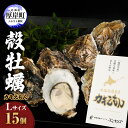 【ふるさと納税】厚岸産 牡蠣 カキえもん Lサイズ 15個 北海道 牡蠣 カキ かき 生食 生食用 生牡蠣　魚貝類 生牡蠣 かき カキ シーフード　お届け：2024年11月～2025年7月31日まで