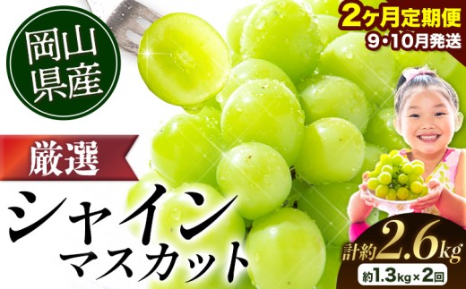 シャインマスカット【2026年出荷先行予約】 厳選 シャインマスカット 約1.3kg×2ヶ月定期 《2026年9月上旬-11月中旬頃に出荷予定》ぶどう 種なし ぶどう 岡山 ぶどう 先行予約 ぶどう シャインマスカット 大粒 シャインマスカット 晴王 シャインマスカット 岡山 シャインマスカット ぶどう
