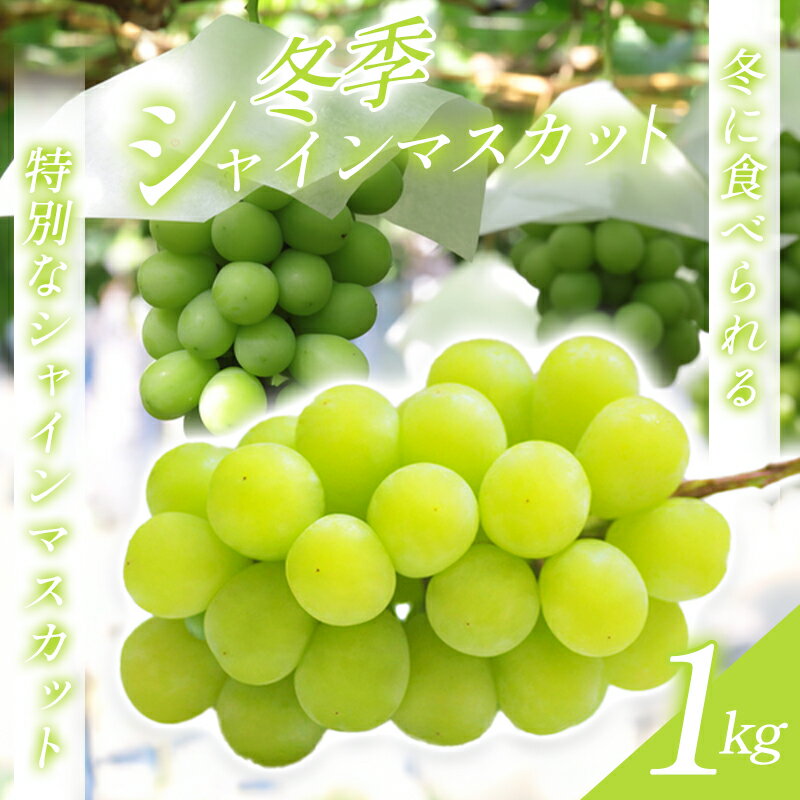 【ふるさと納税】 先行予約 冬季 シャインマスカット 1kg 果物 くだもの フルーツ ブドウ ぶどう 葡萄 マスカット 種なし 期間限定 季節限定 シーズンオフ