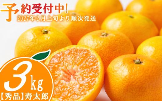 秀品 寿太郎 みかん 3kg 産地直送 柑橘 フルーツ 果物 蜜柑  時期 旬 季節限定 西浦 おいしい 丸榮 国産 静岡 沼津