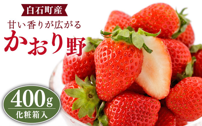 
            【農家直送】かおり野 400g（化粧箱入り）/いちご 苺 イチゴ 白石産 佐賀産いちご 良い香り かおりの【StrawberryFarm-K】 [IBJ005]
          