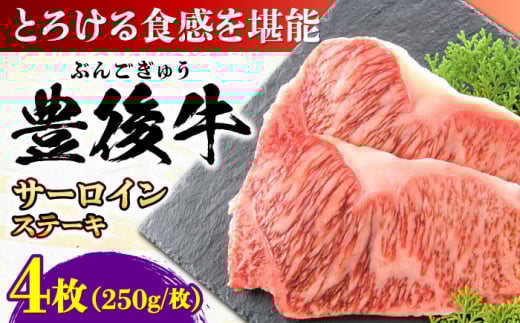 おおいた豊後牛 サーロインステーキ 1kg (250g×4枚) 日田市 / 株式会社MEAT PLUS 牛肉 おおいた豊後牛 おおいた 豊後牛 黒毛和牛 サーロイン サーロインステーキ ステーキ 国産 和牛 [AREI008]