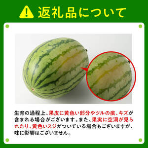 九州産すいか 小玉スイカ「マダーボール」２玉 【 数量限定 国産 宮崎県産 西瓜 フルーツ 果物 すいか】