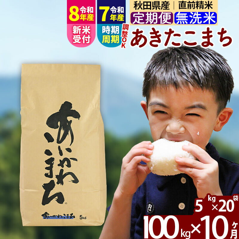 【ふるさと納税】※令和7年産／R8産新米予約※ 《定期便10ヶ月》秋田県産 あきたこまち 100kg【無洗米】(5kg小分け袋) 2025年産 2026年産 令和8年産 お届け時期選べる お届け周期調整可能 隔月に調整OK お米 藤岡農産 [藤岡農産]