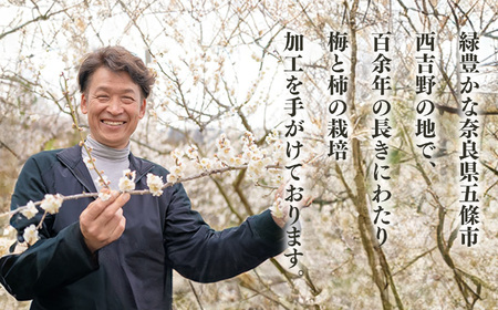 有機栽培　完熟南高梅 3kg | 果実 かじつ カジツ 梅 うめ ウメ 南高梅 奈良県 五條市