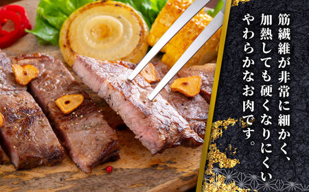 【GI認証】くまもとあか牛ミスジステーキ 120g×3枚　【有限会社 三協畜産】[YCG132]