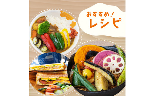 野菜定期便 7品~8品 6ヵ月 【6ヶ月】野菜定期便