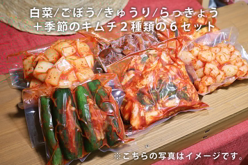 キムチ 6種 (きゅうり らっきょう ごぼう 白菜 季節のキムチ2種 )セット 2.1kg ~ 2.7kg (1袋 約350~450g×6種類) 本場韓国の味 手作りキムチ 胡瓜 ラッキョウ ゴボウ 