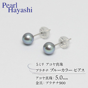 プラチナ アコヤ真珠 5ミリサイズ ブルーカラー ピアス パールハヤシ 【 真珠 】
