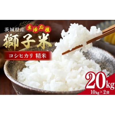 ふるさと納税 石岡市 生活応援!獅子米コシヒカリ精米 20kg(10kg×2袋)