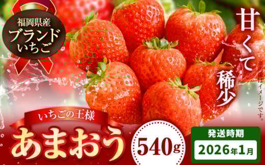 いちご あまおう 先行予約 いちご 大量 540g 選べる発送時期 定期便 フルーツ《2026年1月上旬-1月末頃出荷》苺 旬 くだもの 果物 福岡県 鞍手町