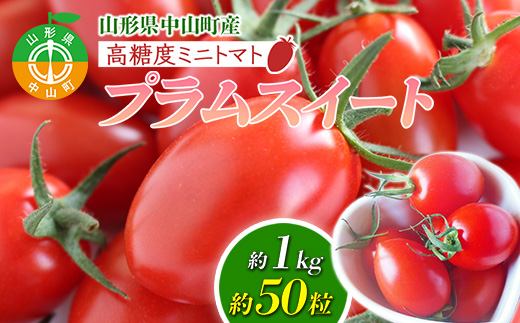 【2025年先行予約】山形県中山町産高糖度ミニトマト (プラムスイート) 期間限定 数量限定 濃厚 リコピン 甘い おやつ サラダ 新鮮 F4A-0110