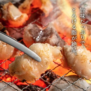 012AA04N.但馬牛経産牛「ホルモン」500ｇ×2