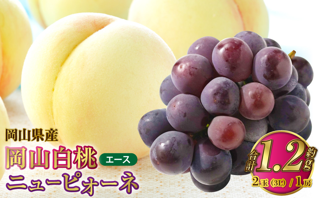 
            岡山県産 岡山白桃 エース 3Lサイズ 約300g×2玉・ニューピオーネ 約600g×1房 詰合せ 【2025年7月上旬～8月下旬発送予定】 白桃 桃 もも モモ ピオーネ ぶどう 葡萄 ブドウ セット
          