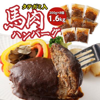 ふるさと納税 八代市 FN タテガミ入り 馬肉 ハンバーグ ( デミソース ) 8個 200g×8個_147-2227-C