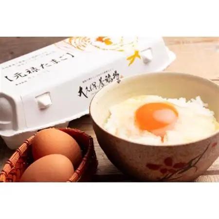 佐野市飛駒町産　大久保養鶏場　元禄卵　60個(10個入り×6パック)_卵・乳製品 卵  たまご タマゴ 玉子_【配送不可地域：離島】【1225333】