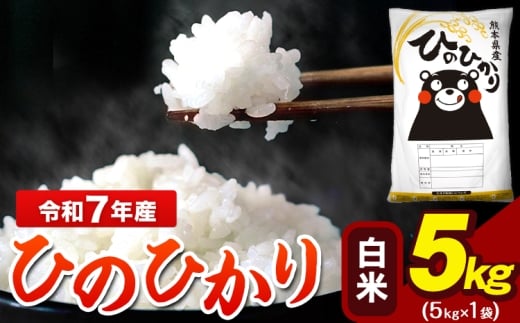令和7年産 ひのひかり 白米 5kg   5kg×1袋 熊本県産（荒尾市産含む） 米 精米 ひの