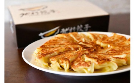 【ふるさと納税】生パスタ生地で包んだ正統派の餃子 15個入り×2ケース(計30個)_M86-0002