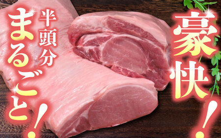 【12回定期便】豚帝 リブ ロース＆ロース ブロック (半頭分) 約5kg【KRAZY MEAT(小田畜産)】[ZCP138]