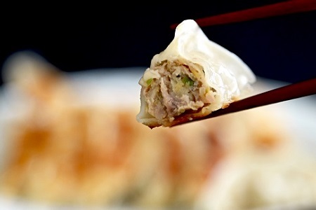 京丹波餃子 48個（16個入り×3ケース） 6人前 京丹波ぽーく ぎょうざ ギョウザ 塩ポン酢付き 京丹波ラディッシュ 京丹波産野菜 国産 豚肉 ポーク オリジナル ブランド ご当地グルメ お取り寄せ