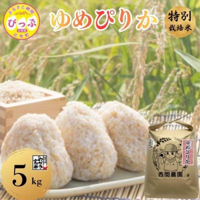 ふるさと納税 比布町 【令和8年産 新米先行受付】特別栽培米 ゆめぴりか みがき玄米 5kg 【西間農園】