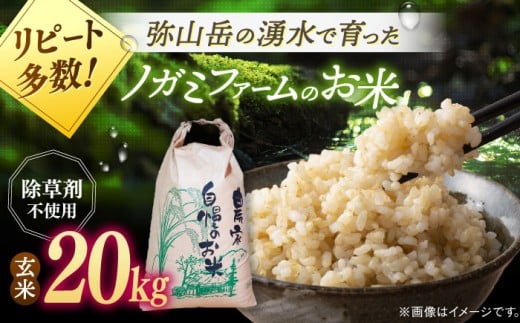 玄米 20kg【新米 令和7年産】弥山岳の岩清水で育ったノガミファームの お米  ▼ おすすめ 人気 ランキング 高評価 国産 福岡県産 九州 米 お米 玄米 ご飯 ごはん ゴハン 精米前 未精米 桂川町/NOGAMI FARM[ADAU012]