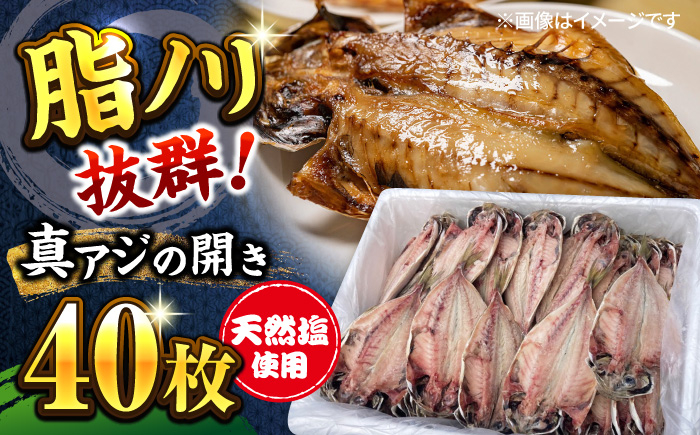 
漁師町佐島 真アジの開き 40枚セット 干物 アジ 鯵 開き 魚 横須賀【石川水産】 [AKCX001]
