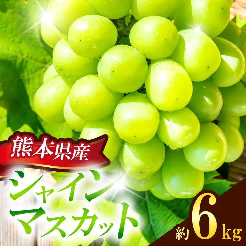 熊本県産 シャインマスカット 約6kg 『 かめまる食堂 』 種無し ぶどう
