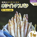 【ふるさと納税】【2025年発送】北海道富良野産 ホワイトアスパラ 1kg SからLサイズ混合_ アスパラ アスパラガス ホワイトアスパラ 野菜 国産 北海道産 富良野 産地直送 旬 生 冷蔵 とれたて 新鮮 送料無料 贈答 ギフト 朝どれ 【配送不可地域：離島】【1380121】