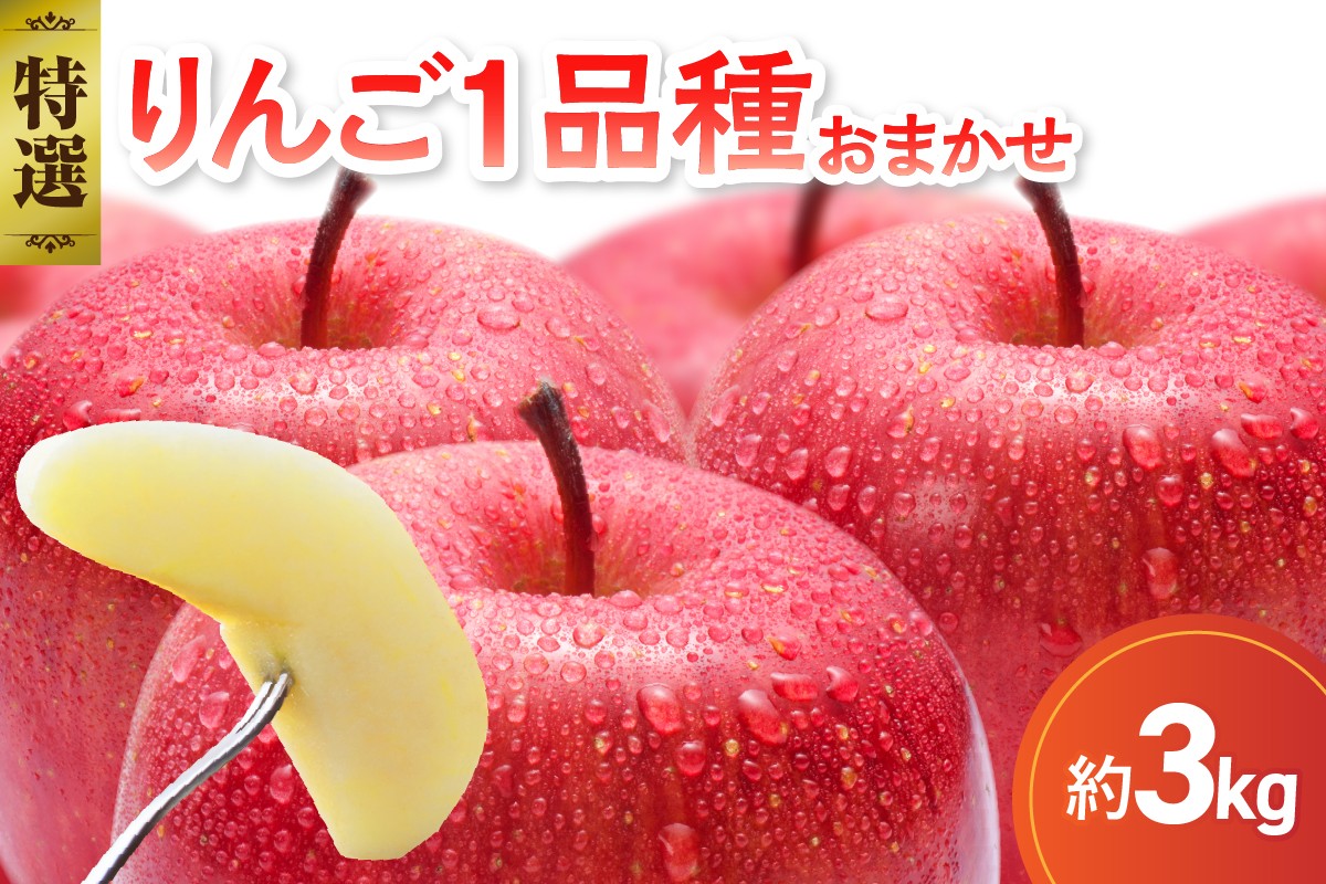
            【選べる配送時期】 【特選】 旬の美味しい りんご 約3kg 青森産 【おまかせ1品種】
          