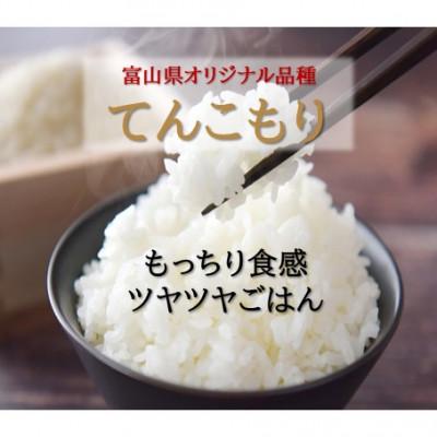 ふるさと納税 小矢部市 【新米先行受付(2026年11月上旬から順次発送)】令和8年産米「てんこもり」(精米)30kg×1袋 |  | 01