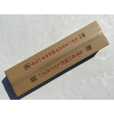 ふるさと納税 長野市 【先行受付】JAグリーン長野　松代産　長芋　3kg(2〜3本)　家庭用 |  | 03