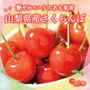 【2025年発送】【数量限定】【期間限定】山梨県産 紅秀峰 さくらんぼ (500g) バラ詰め さくらんぼ 数量限定 期間限定 フルーツ 果物 山梨県産 山梨 富士吉田 フルーツ 富士吉田市