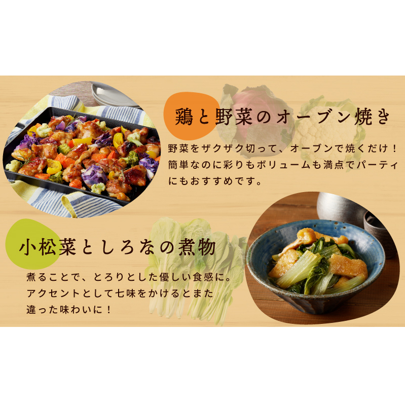 旬の新鮮 野菜セット（7種以上）定期便 全4回 おまかせ ピクルスの素付き ファミリー向け いずみピクルス NSW【毎月配送コース】 099Z281_イメージ5