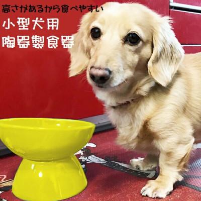 ふるさと納税 奈良市 ペット用食器 小型犬用 陶器製食器 イエロー 9-053 53629-8-CHOB2