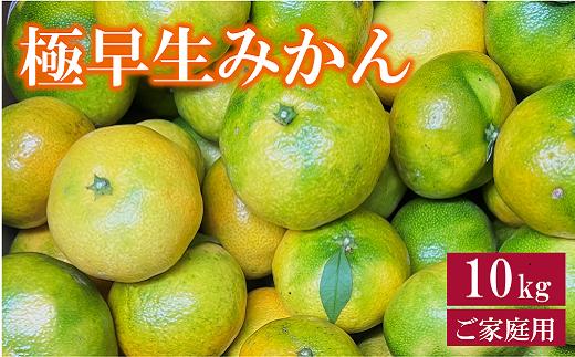 極早生みかん 10kg ご家庭用 農園直送 先行予約 10月発送 愛媛 数量限定 愛媛県産 人気 柑橘 伊予市｜B254