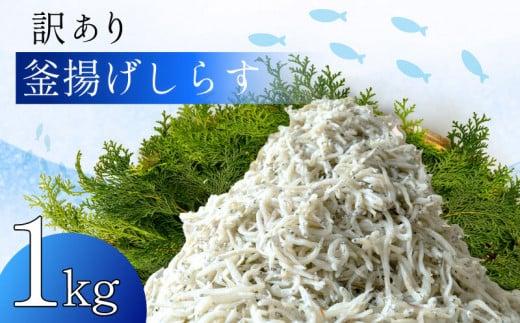 訳あり 釜揚げ しらす 1kg たっぷり 冷凍 小分け しらす パック 500g 2パック しらす 駿河湾 の恵み シラス サイズ不揃い