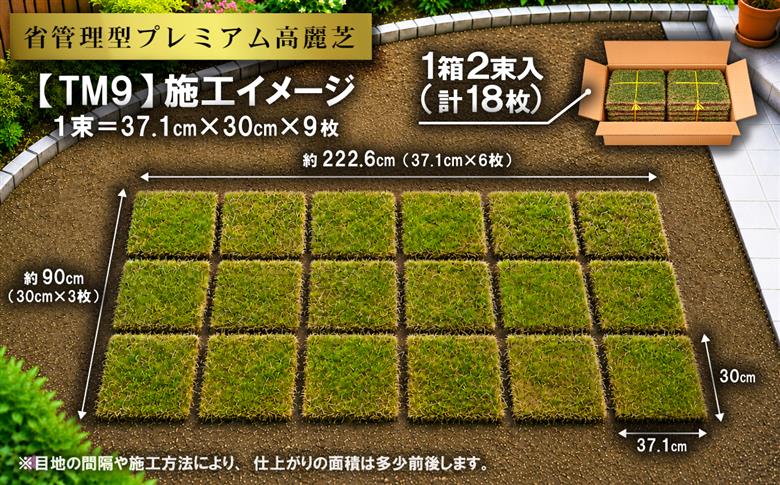 【先行予約】6㎡分 省管理型プレミアム高麗芝 「TM9（芝生）」コウライシバ ティーエムナイン 【2027年3月下旬頃から出荷予定】 6㎡分（6束）3箱 | 36,000円