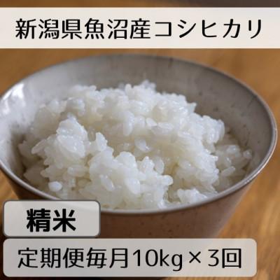 ふるさと納税 十日町市 【毎月定期便】新潟県魚沼産コシヒカリ「山清水米」精米10kg全3回