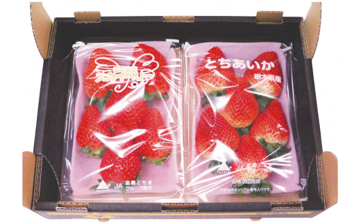 [先行予約][2026年12月中旬より順次発送予定・じゅわっと溢れだす] とちあいか＆スカイベリー食べ比べセット600g ｜いちご イチゴ 苺 フルーツ 果物 産地直送 栃木県産 矢板市産 先行予約 