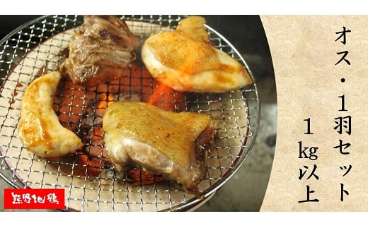 地鶏 鶏肉 とっておき地鶏 1羽セット オス 1㎏以上 モモ肉 むね肉 ササミ肉 各2枚 肉 鶏肉 鳥肉 とり肉 地鶏 焼き鳥 焼鳥 炭火焼鳥 炭火焼き もも肉 むね肉 ささみ 惣菜 おかず 小分けパック 国産 名古屋コーチン 伊勢赤どり 三重県 熊野市【frsn0005】