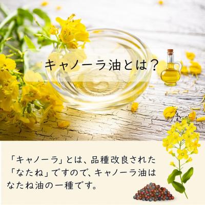 ふるさと納税 名古屋市 日清 キャノーラ油 8kg (1,000g×8本) |  | 02