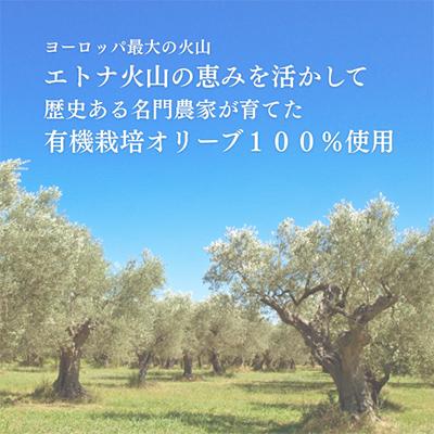 ふるさと納税 袋井市 有機栽培 朝摘み シチリア産エキストラバージンオリーブオイル1本【2026年5月20日頃より発送】 |  | 02