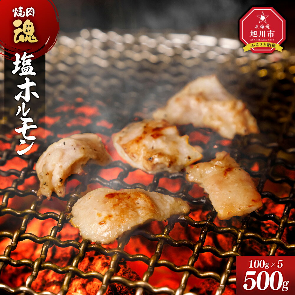 【ふるさと納税】焼肉　魂　塩ホルモン100g×5_04954 | 肉 お肉 にく 食品 人気 おすすめ 送料無料 ギフト