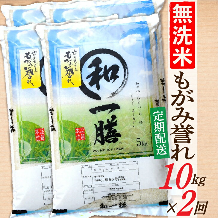 【ふるさと納税】【定期便】【無洗米】 令和7年産 もがみ誉れ 10kg (5kg×2) 2回配送