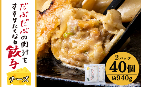 だぶだぶな肉汁をすすりたくなる餃子ちぃーず40個入（20個入×2パック） BE009