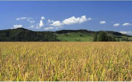 【無洗米】食べ比べ12kgセット(ゆめぴりか2kg・ななつぼし2kg・ふっくりんこ2kg・ゆきさやか2kg・あやひめ2kg・おぼろづき2kg)