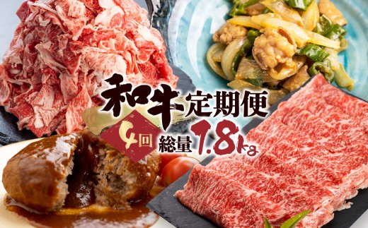 ＜8月から寄附額改定＞「和牛定期便」定期便 4回 お楽しみ 牛肉 切落し 切り落とし ホルモン もつ 焼肉 ハンバーグ レトルト しゃぶしゃぶ 個包装 国産和牛 総重量1.8kg 定期便 肉