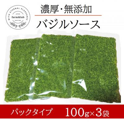 ふるさと納税 日高町 濃厚・無添加　バジルソース(ジェノベーゼソース)　パックタイプ　100g×3袋